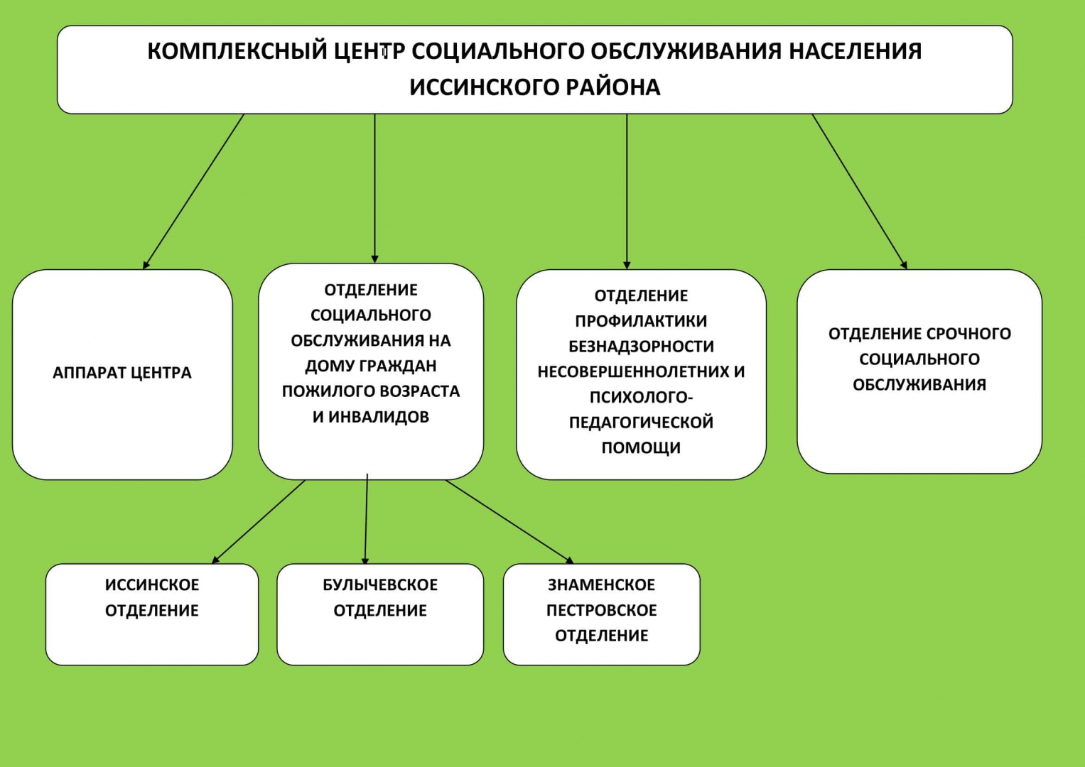 Структура организации